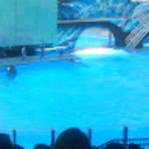 Meet your Posher, Antonio